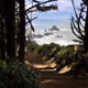 road to the sea