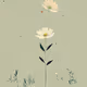 Blooms Unbound