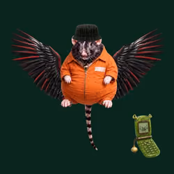 FAT RAT WIF HAT #0186