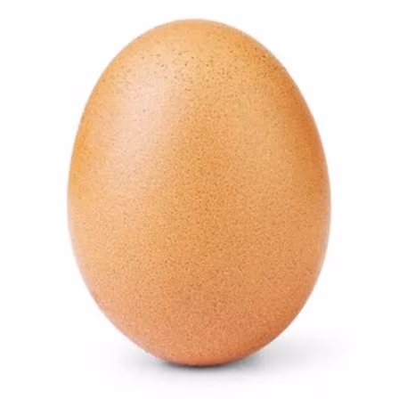 EGG