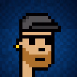 Punk #3229