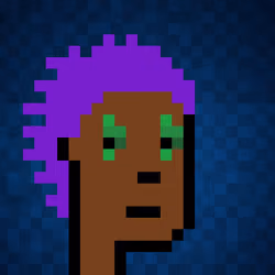 Punk #8705