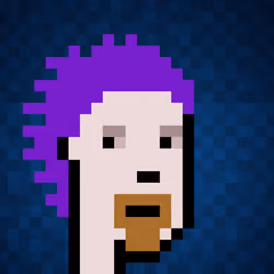 Punk #7004