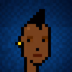 Punk #1040