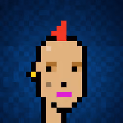 Punk #966