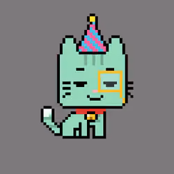 21