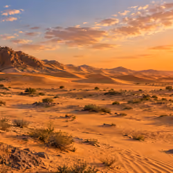 edge of the desert