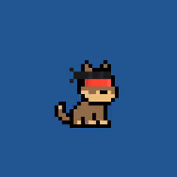 45