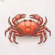 587