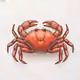 778