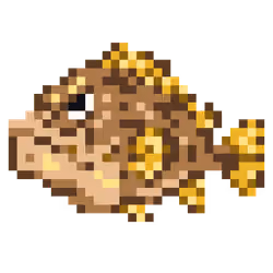 Chad Grouper #27