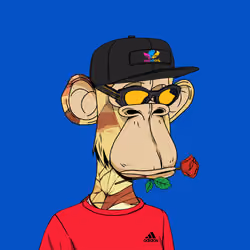 50