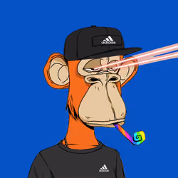 593