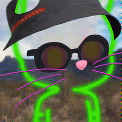 Quantum Milady Cats #4355