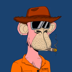 1106