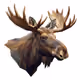 Moose