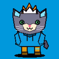 Chaos Cats Hood #230