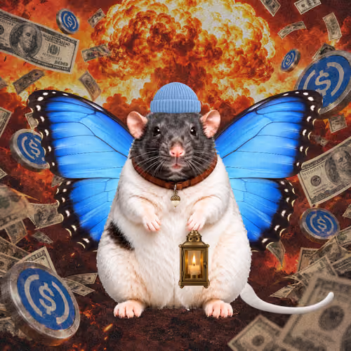 Fat Cat Bat Rat Wif Hat #00369
