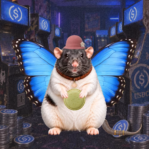 Fat Cat Bat Rat Wif Hat #00858
