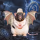 Fat Cat Bat Rat Wif Hat #00803