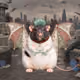 Fat Cat Bat Rat Wif Hat #08167