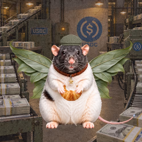 Fat Cat Bat Rat Wif Hat #01485