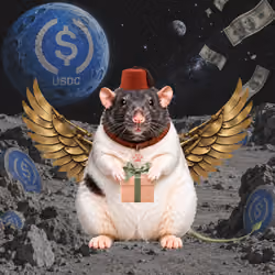 Fat Cat Bat Rat Wif Hat #01177