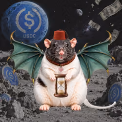 Fat Cat Bat Rat Wif Hat #08439