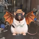 798