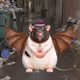 7440