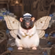 621