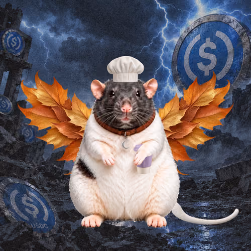 Fat Cat Bat Rat Wif Hat #00886