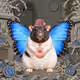 3758
