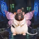 Fat Cat Bat Rat Wif Hat #00776