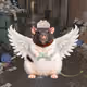 7797