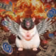 Fat Cat Bat Rat Wif Hat #07527