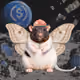 7550