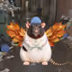 Fat Cat Bat Rat Wif Hat #07396