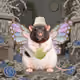 8047