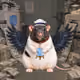 Fat Cat Bat Rat Wif Hat #05416