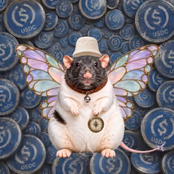 Fat Cat Bat Rat Wif Hat #01578