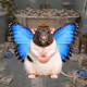 2757