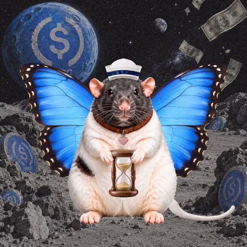 Fat Cat Bat Rat Wif Hat #00738