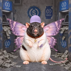 Fat Cat Bat Rat Wif Hat #03487