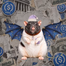 Fat Cat Bat Rat Wif Hat #03810