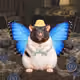 8044