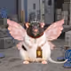 6875