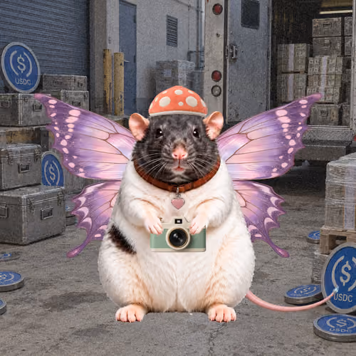 Fat Cat Bat Rat Wif Hat #01067