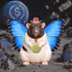 2699
