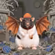 2320